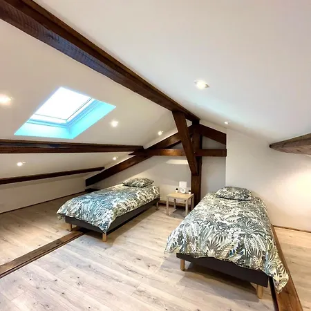 Duplex Urbain Proche Centre-ville De - 6 Pers Λυών
